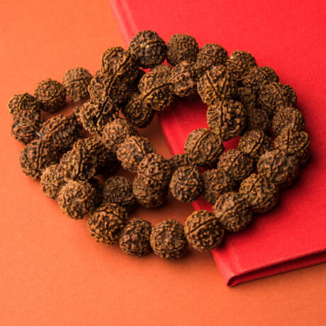 Rudraksh – The Divine Bead of Clarity & Protection